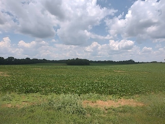 1 Benton Rd, Cedar Hill, TN 37032