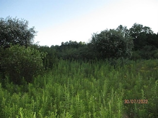 0 Daniels Rd Unit R1585025, Plymouth, NY 13844