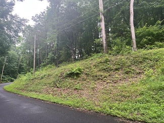 0 Taylor Dr Unit 130142, Dalton, GA 30720