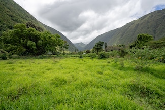 0 Waipio Valley Rd, Honokaa, HI 96727