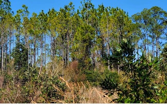 0 Bat Rd Unit 118889, Perry, FL 32347