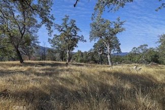 0 39.29 AC Village Dr, Oakhurst, CA 93644