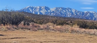 0 Avenue Y Unit IV25022418, Mount Waterman, CA 93544