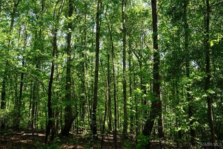 2892 Peake Rd, Pine Level, AL 36093