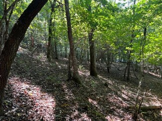 101R N Blaine Branch, Franklin, NC 28734