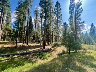 670 Redtail Loop Rd, Clio, CA 96106