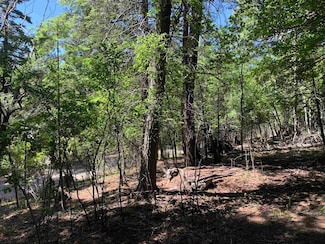 1204 Blanca Vista Unit 95-98, Cloudcroft, NM 88317