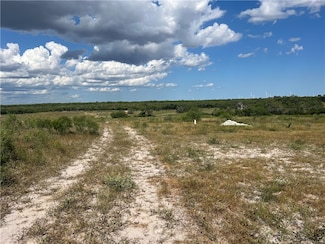 TBD County Road 351, Swinney Swtch, TX 78368