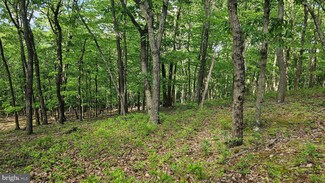 0 Dry Run Rd Polecat Hollow Rd Unit PAFL2027420, Mercersburg, PA 17236