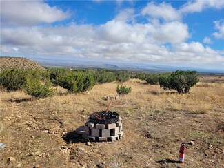0 Turkey Ranch Rd 197th St E Unit SR23180158, Llano, CA 93544