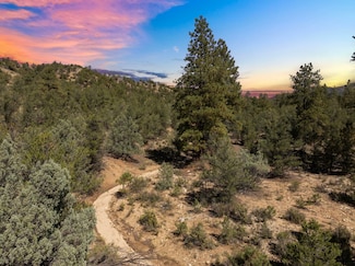 7 Turley Mill Lot 7, Arroyo Hondo, NM 87513