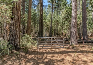 19375 Cherokee Ln, Volcano, CA 95689