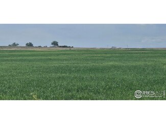 0 County Road 10 Grove Unit 1006723, Fort Lupton, CO 80603