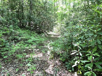 00 Cold Spring Ln, Hayesville, NC 28904
