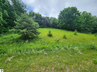 0000 Deer Ridge Trail, Lake Township, MI 49617