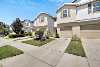 4916 White Sanderling Ct, Tampa, FL 33619