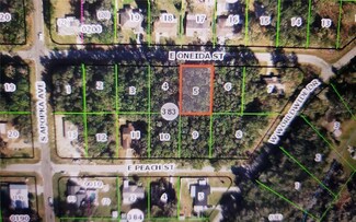 6370 E Oneida St, Inverness Highlands South, FL 34452