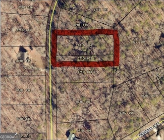 366 Shore Crest Dr, Martin, GA 30557