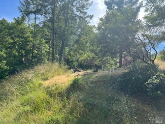 1178 Madrone Cir, Willits, CA 95490