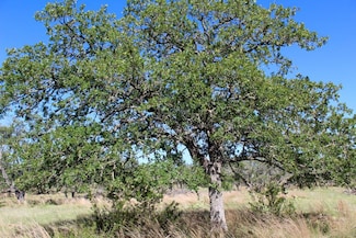 165 Apache Trace NW Unit 72, Harper, TX 78631