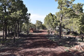 1419 W Maverick Ln, Williams, AZ 86046