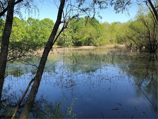 34 Hudson Loop Rd, Aragon, GA 30104