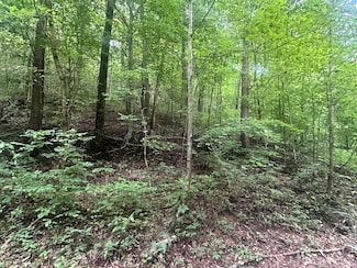 Lot 24 Rock Springs Rd, Celina, TN 38551