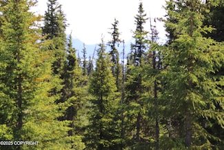 54533 Winchester Ave, Fritz Creek, AK 99603