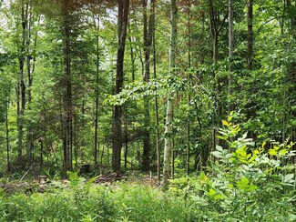 0 Harding Line Rd Unit 22201505, Merrill, WI 54452