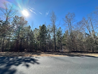 0-11 S Pointe Ct, Tignall, GA 30668