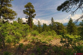 2626 S Pagosa Blvd, Pagosa Springs, CO 81147