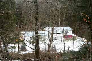 1633 Tom Hill Hollow Rd, Muncy, PA 17756