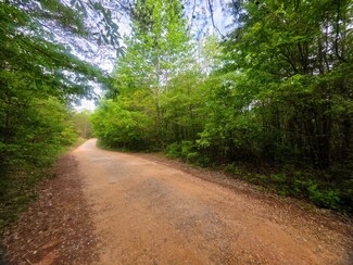 0 County Rd 3022 Unit 11498302, Double Springs, AL 35553