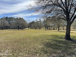 0 N New Arbor Lot 1b Rd, Poplarville, MS 39470