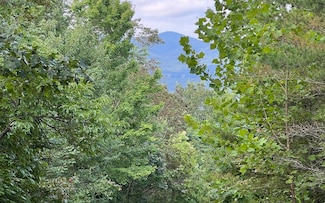 LT 11 the Preserve at Beach Mountain, Brasstown, NC 28902