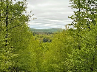 La Plante Rd, Star Lake, NY 13690