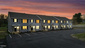 12150 Arbor St, Meadowview, VA 24361