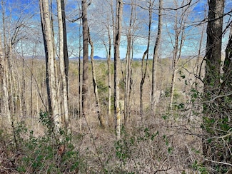 174 High Road Overlook, Flat Rock, NC 28739
