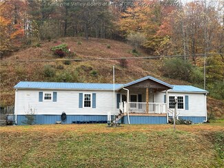 825 Lower Whiteoak Rd, Ashford, WV 25009