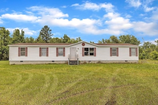 1167 Shawnee Ln, Stapleton, GA 30823