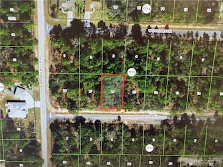 6575 W Whispering Dr, Pine Ridge, FL 34434