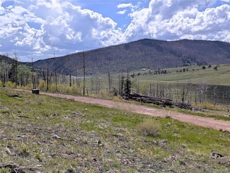 2415 Petito Dr, Fort  Garland, CO 81133