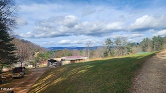 295 Larrys Ln, Mountain City, TN 37683