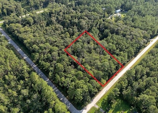 5003 Willow Ln, Bunnell, FL 32110