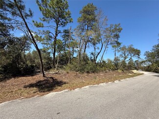 TBD Fisher Run Terrace, Ocklawaha, FL 32179