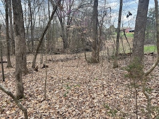 Lot# 15 Delainey Dr, Kodak, TN 37764