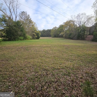241 Russell Rd, Milner, GA 30257
