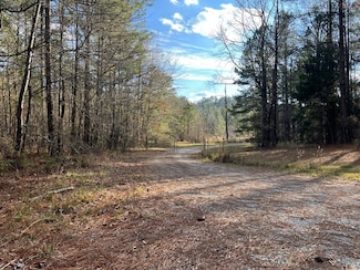 0 Wire Rd, Cottondale, AL 35453
