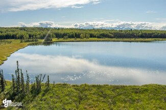 B002 W King Arthur Dr, Wasilla, AK 99654