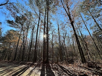 LOT 8 Saggus Rd, Washington, GA 30673